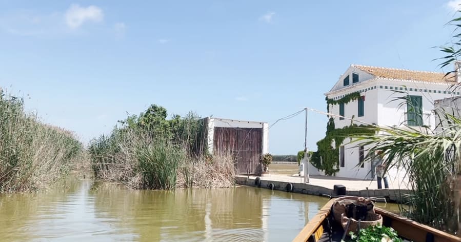 Casa aislada en medio del lago de la Albufera de Valencia