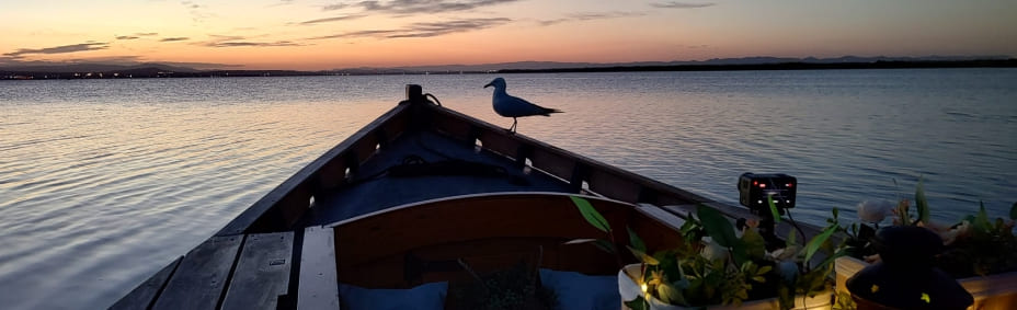 La Albufera de Valencia: un pequeño mundo por descubrir y disfrutar La Albufera de Valencia | Naturaleza, barcas, paella y atardeceres