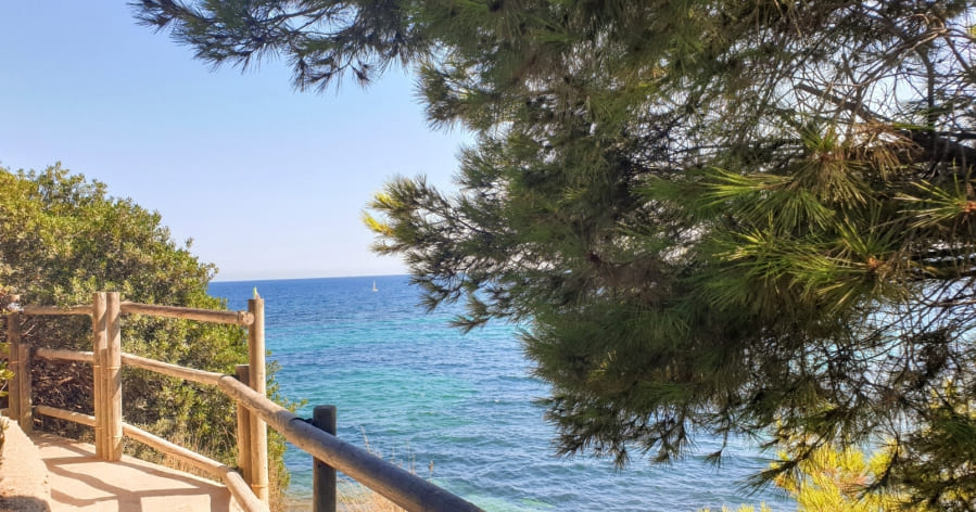 Bosque y magníficas vistas al mar en la ruta Calpe–Benissa