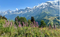 Ritual del Bosque con spa y masaje en las Arenas Valencia